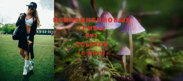 сатива Волоколамск