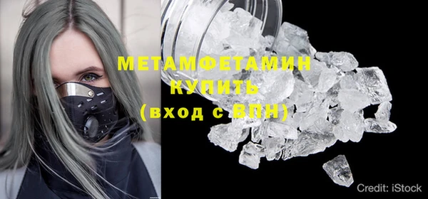 сатива Волоколамск