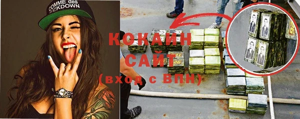 сатива Волоколамск