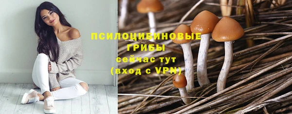 сатива Волоколамск