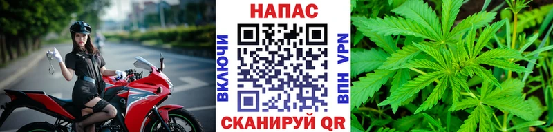 Бошки марихуана ГИДРОПОН  Владикавказ 